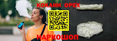 гашик Бердск
