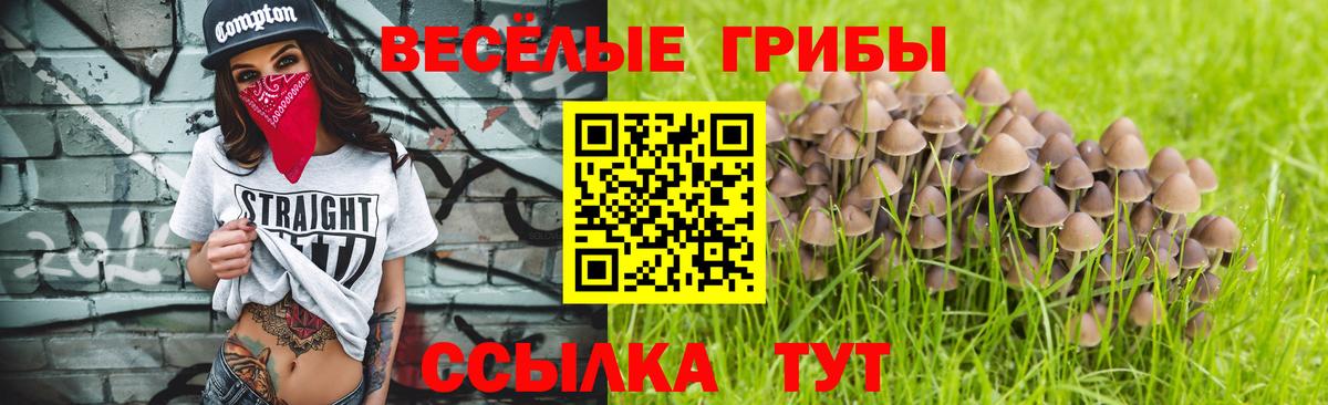Псилоцибиновые грибы MAGIC MUSHROOMS Хасавюрт