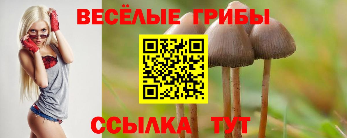 Хасавюрт  Галлюциногенные грибы MAGIC MUSHROOMS  Вход с VPN 
